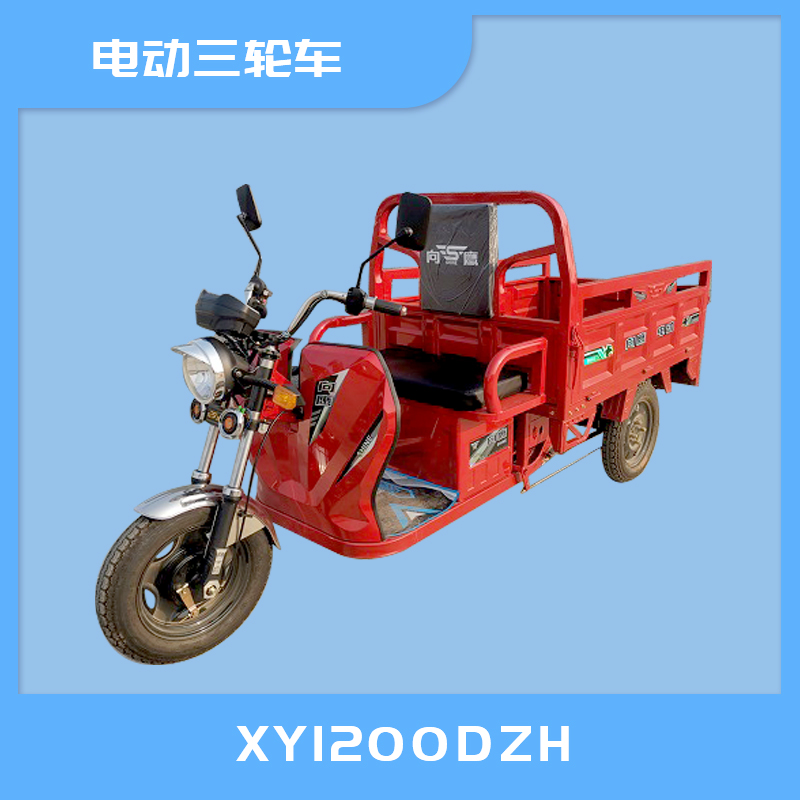 乐山市XY1200DZH电动三轮车